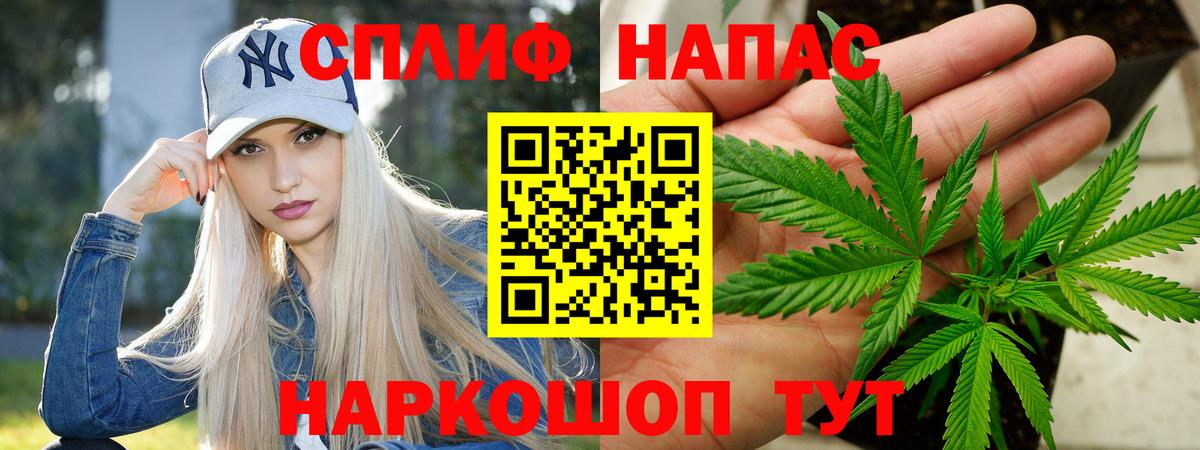 Бошки Шишки гибрид Гусиноозёрск